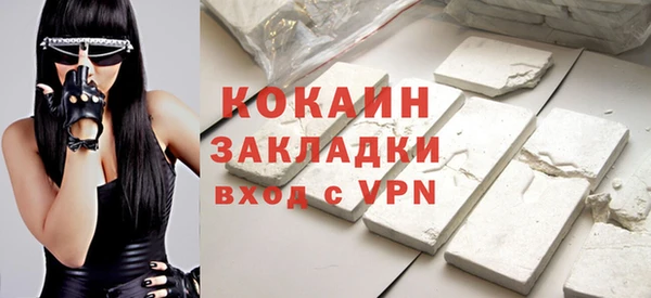 ГАЛЛЮЦИНОГЕННЫЕ ГРИБЫ Бородино