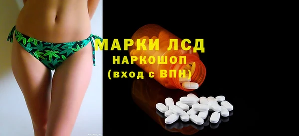 ГАЛЛЮЦИНОГЕННЫЕ ГРИБЫ Бородино