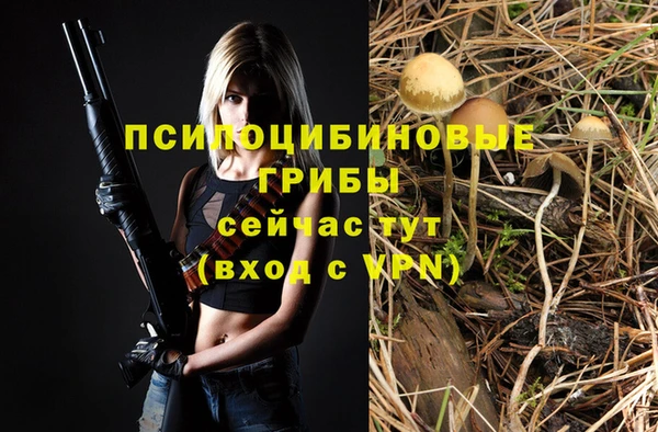 синтетический гашиш Богданович
