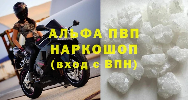 ГАЛЛЮЦИНОГЕННЫЕ ГРИБЫ Бородино