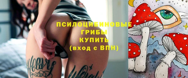 ГАЛЛЮЦИНОГЕННЫЕ ГРИБЫ Бородино