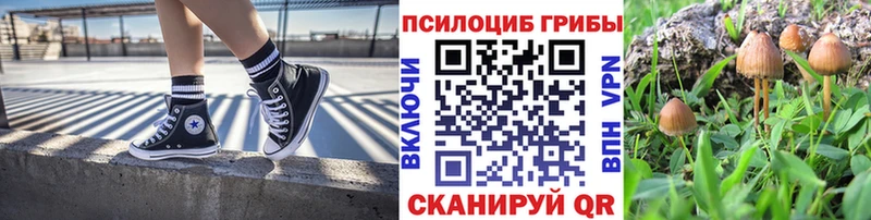 Галлюциногенные грибы Psilocybine cubensis  darknet как зайти  Горячий Ключ 